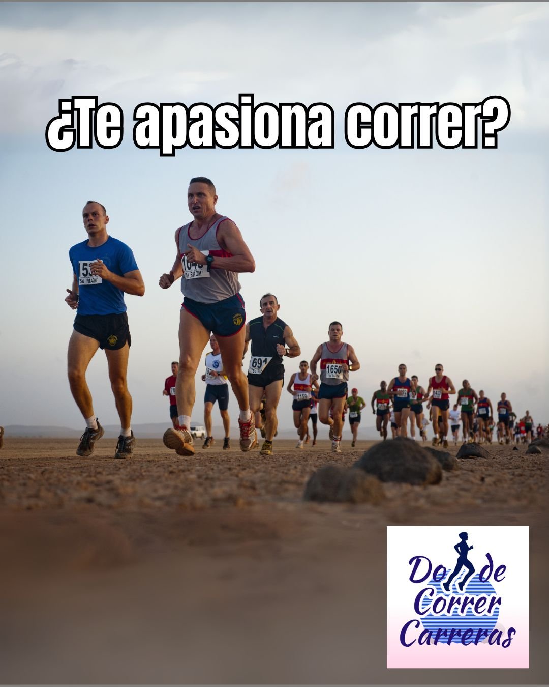 Imagen de la carrera
