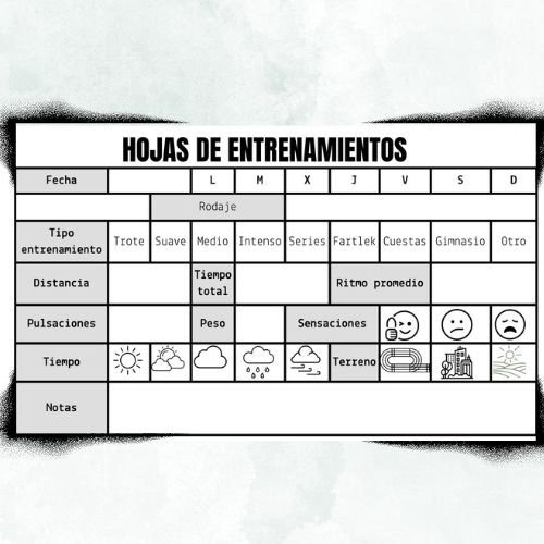 Hoja1